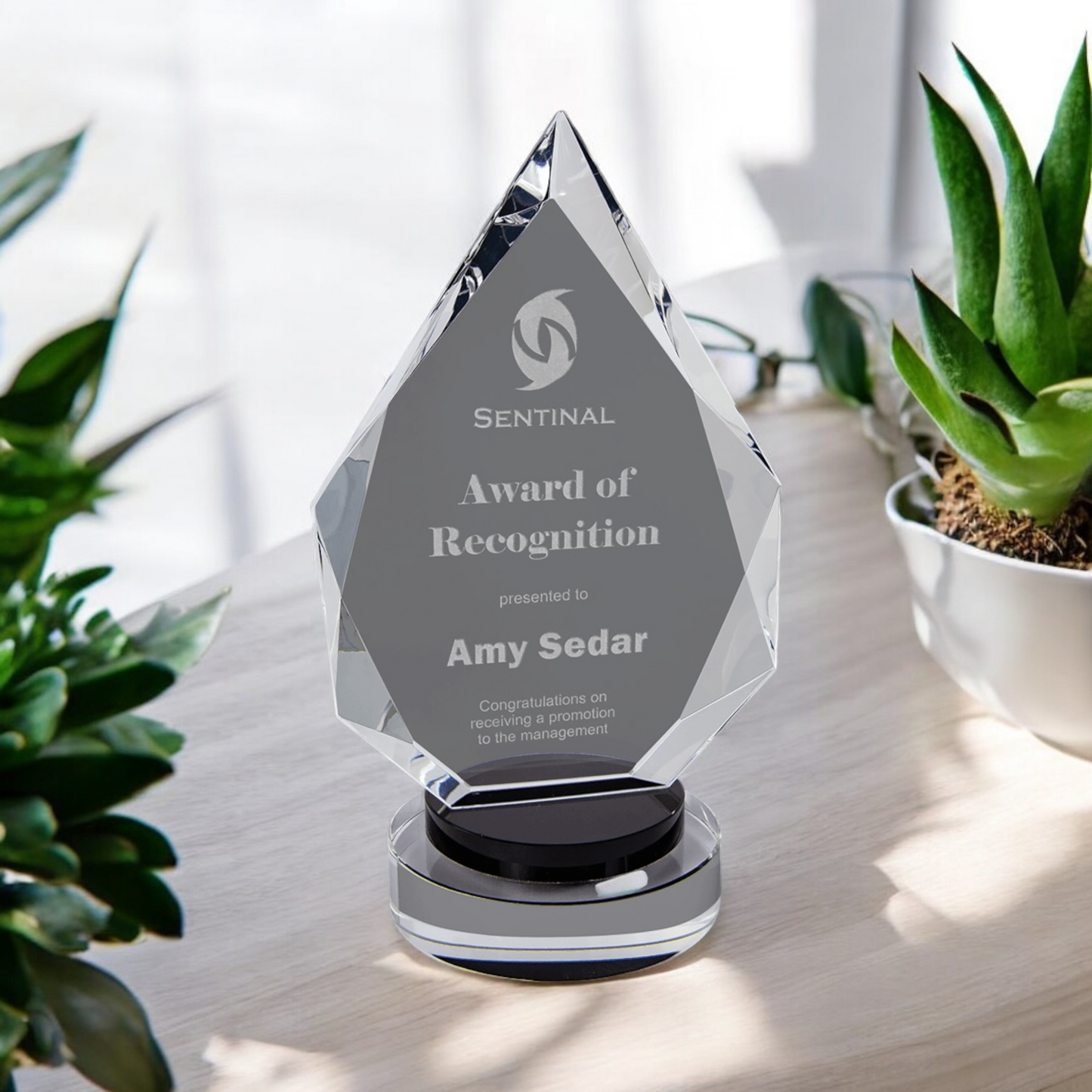 Crystal Awards
